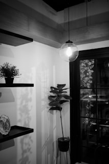 A dimly lit room corner features a hanging light bulb creating soft shadows. A potted plant with broad leaves stands on a tall, slender stand. Open shelves hold decorative items, including a small plant and a dish. The scene is framed by a large window with hanging vines visible.