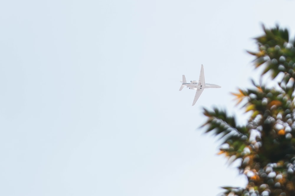 a plane flying in the sky over a tree
