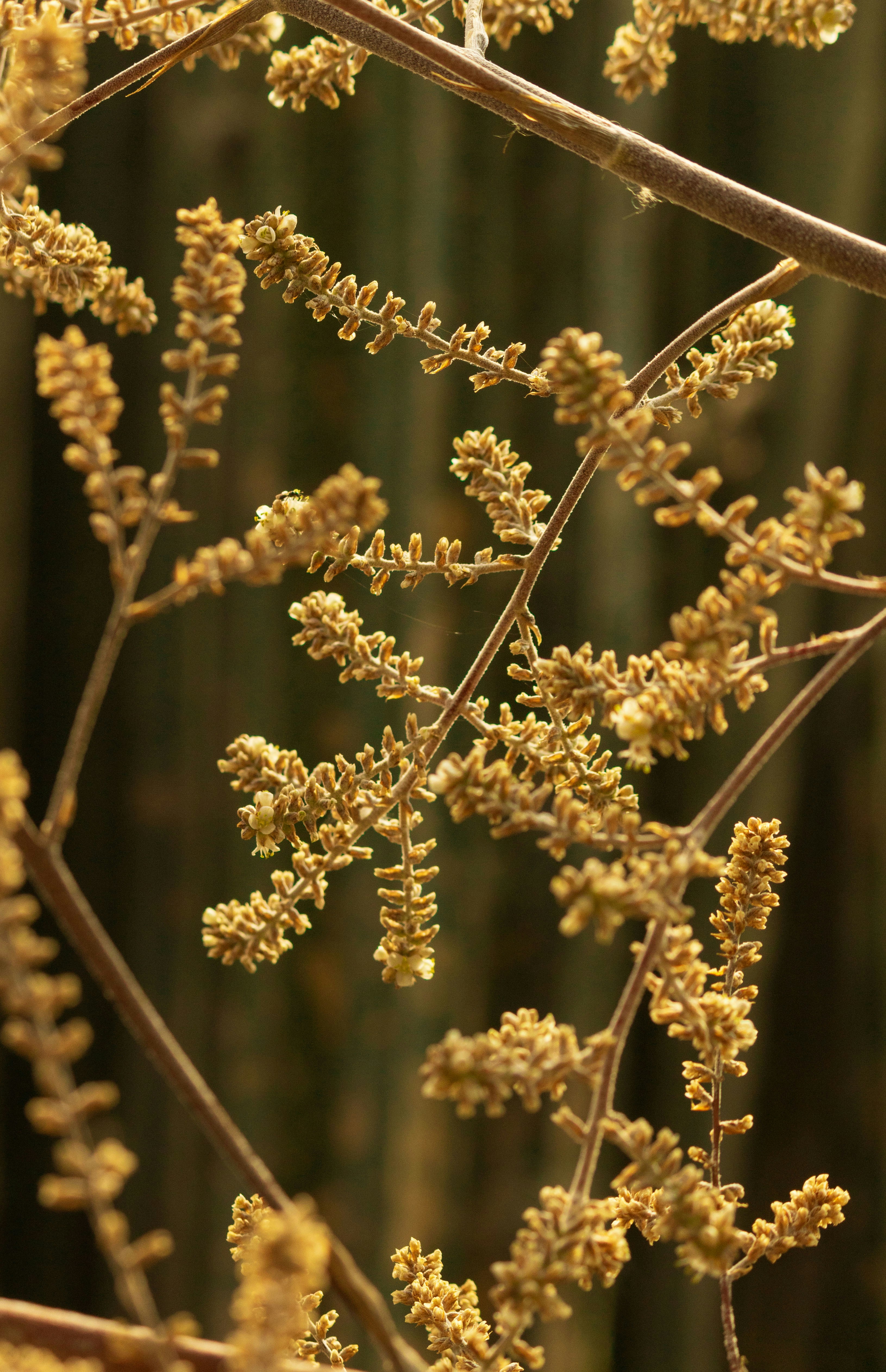 Photo by deborah_camelo