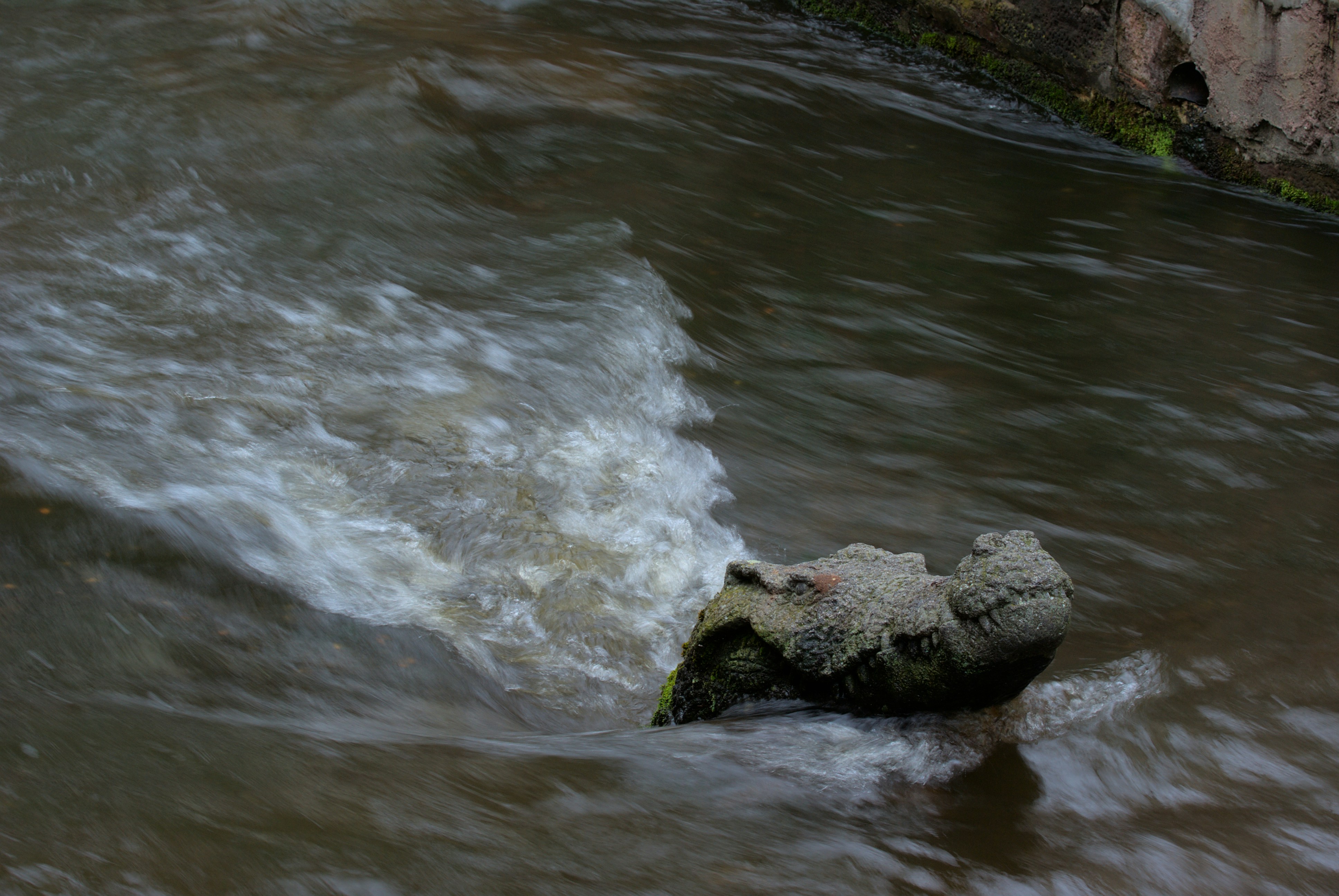 Photo by paulschnuerle