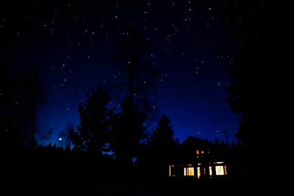 A peaceful nighttime scene from the app’s soundscape feature with stars and gentle music notes.