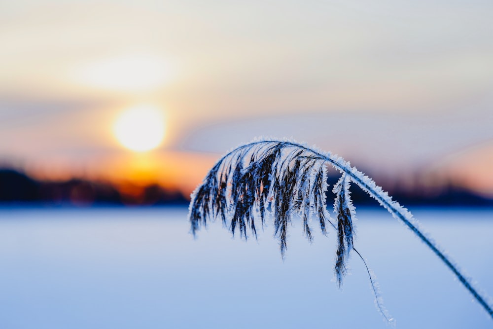 the sun is setting over a frozen lake