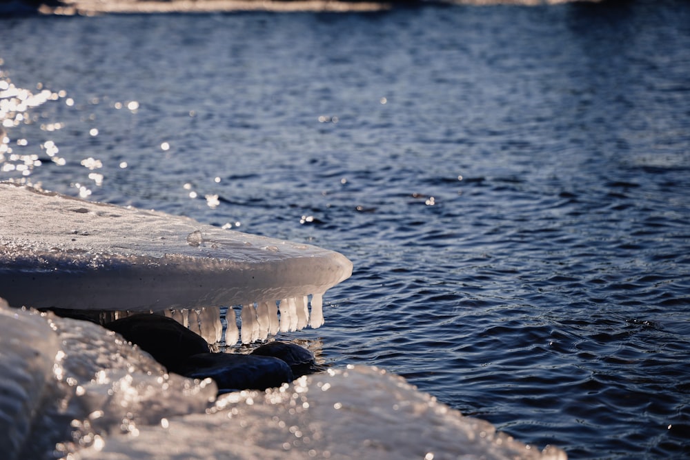 an ice covered bench sitting next to a body of water