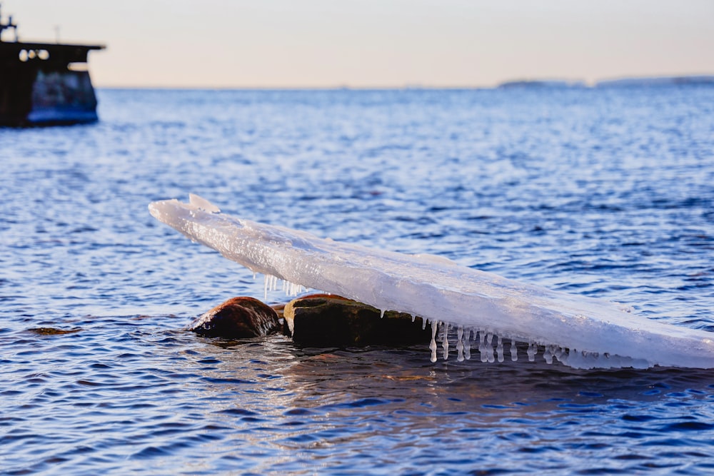 a boat floating on top of a body of water