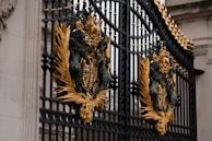 Custom metal gate freshly painted and polished, showcasing expert craftsmanship