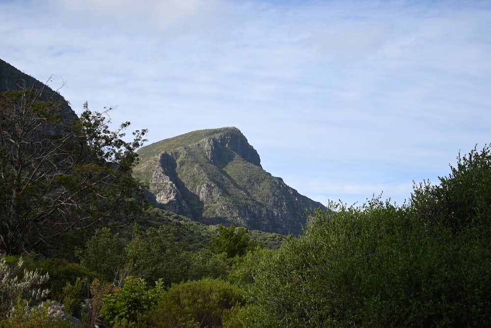 a view of a mountain with trees in the foreground