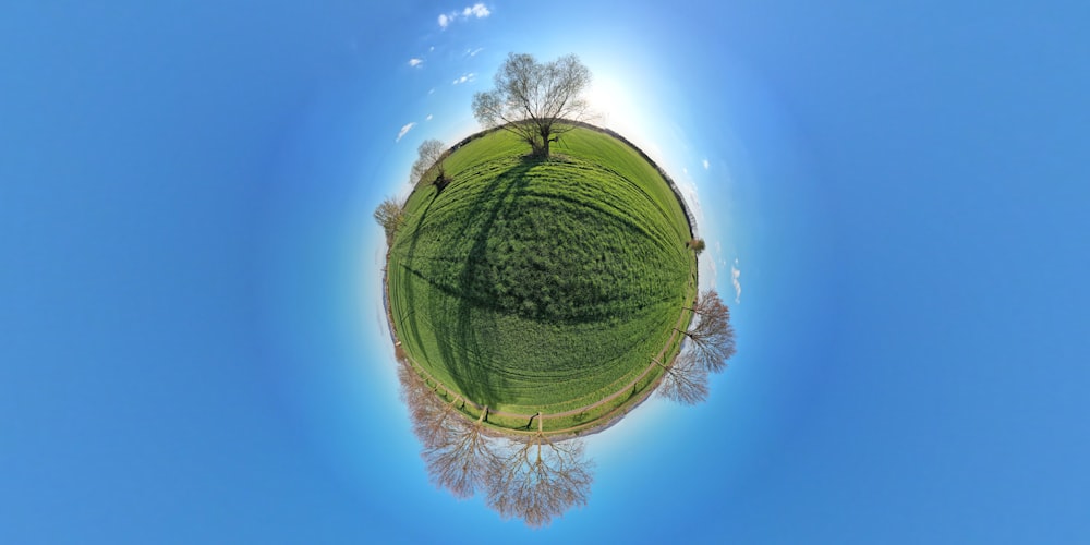 an aerial view of a green field and trees