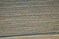 An aerial view of a plowed agricultural field, with visible rows of soil creating a textured pattern. The light is casting gentle shadows, enhancing the linear design.