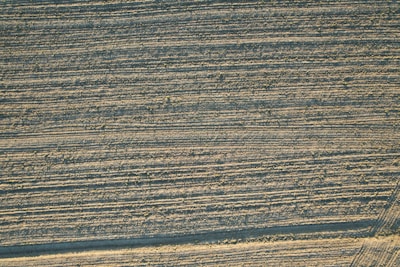 An aerial view of a plowed agricultural field, with visible rows of soil creating a textured pattern. The light is casting gentle shadows, enhancing the linear design.
