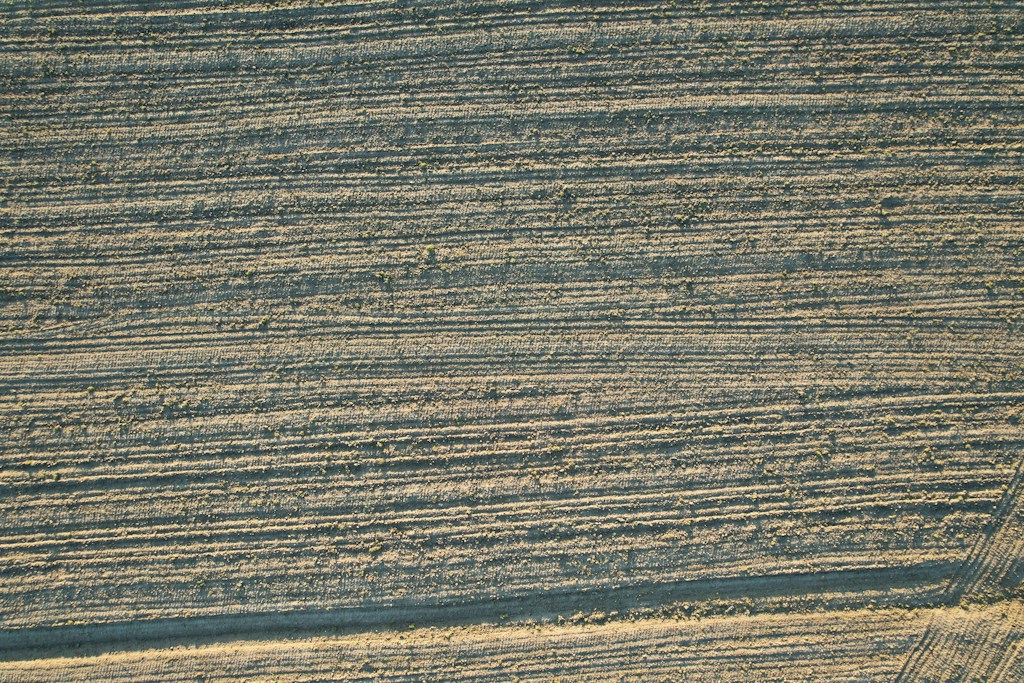 Field-Ready Performance
