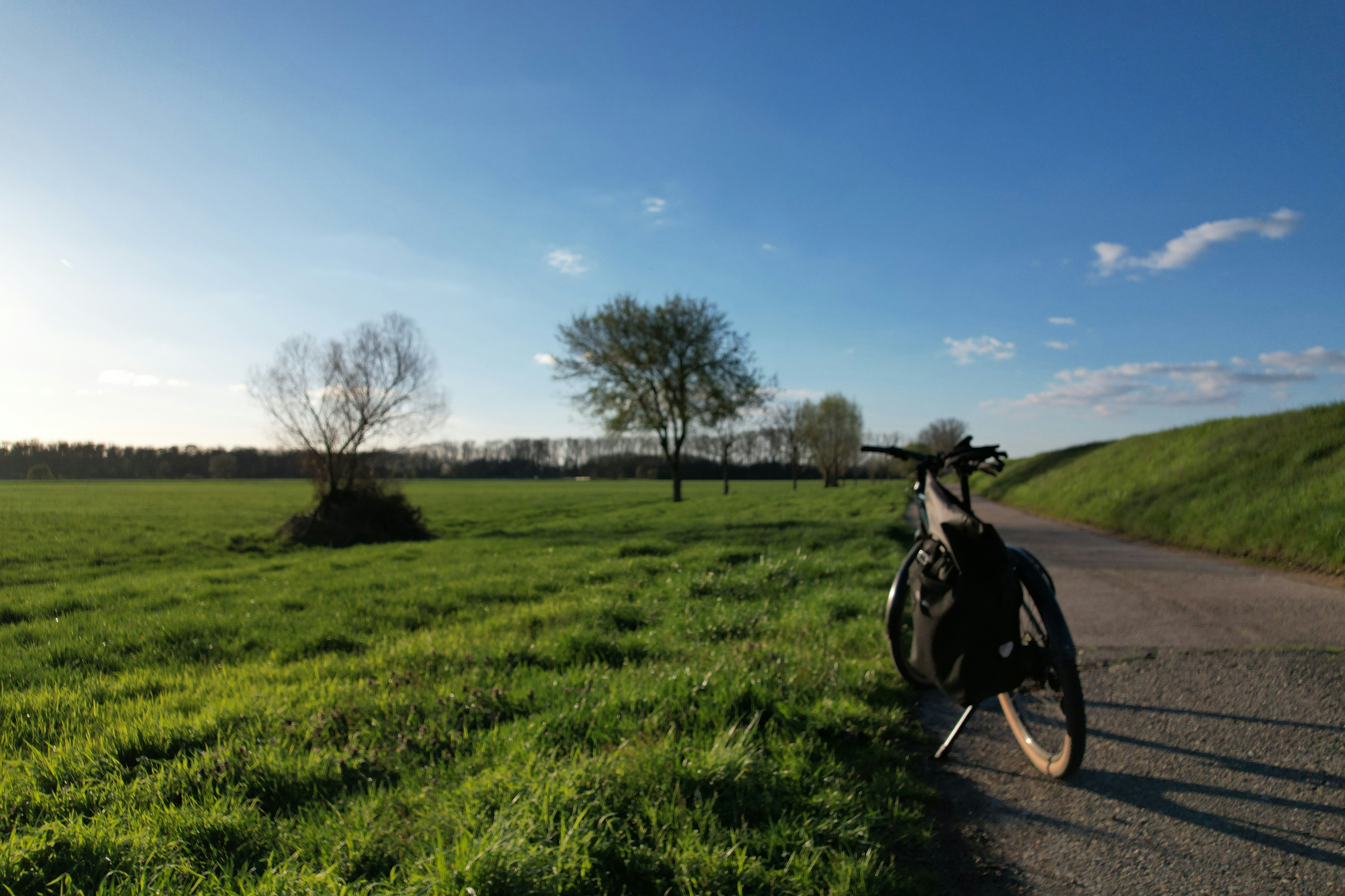 a bike parked on the side of a road