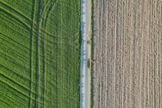 An aerial view displays two distinct halves of land. The left side is covered with lush green grass, showing clear lines of tracks or farming patterns. The right side consists of a brown, plowed field with visible rows suggesting recent cultivation. A narrow dirt road runs vertically between the two contrasting fields.