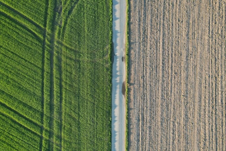 An aerial view displays two distinct halves of land. The left side is covered with lush green grass, showing clear lines of tracks or farming patterns. The right side consists of a brown, plowed field with visible rows suggesting recent cultivation. A narrow dirt road runs vertically between the two contrasting fields.