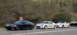 A lineup of various rental cars in a scenic location.