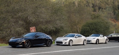 A lineup of various rental cars in a scenic location.