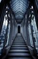 a set of stairs leading up to a large window
