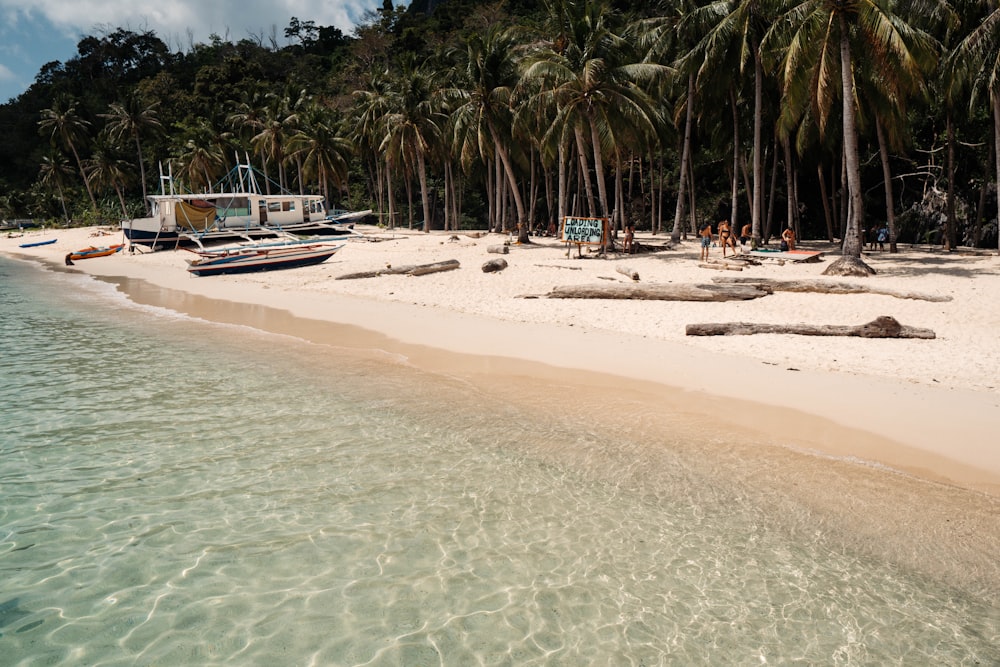 a beach with a boat and palm trees