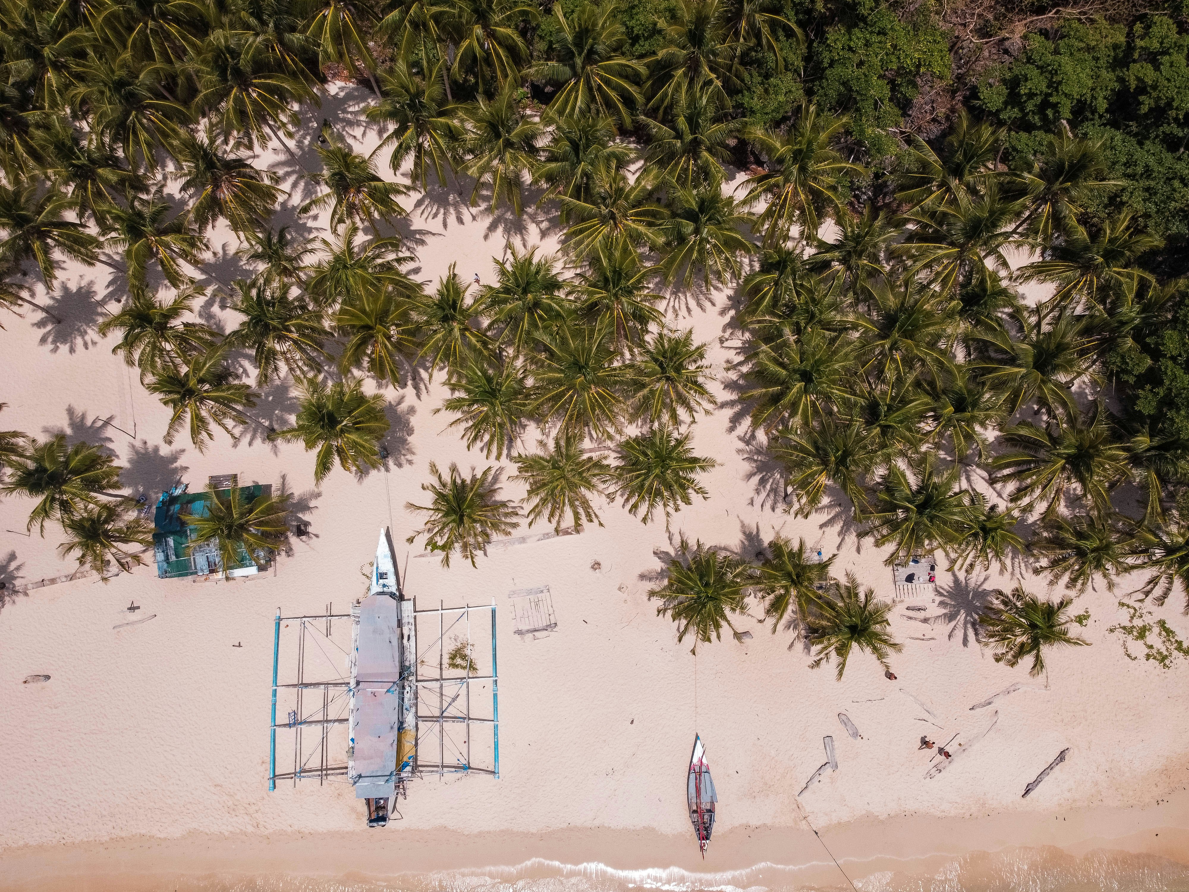 an aerial view of a beach with palm trees