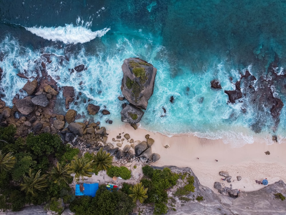 an aerial view of a sandy beach and ocean