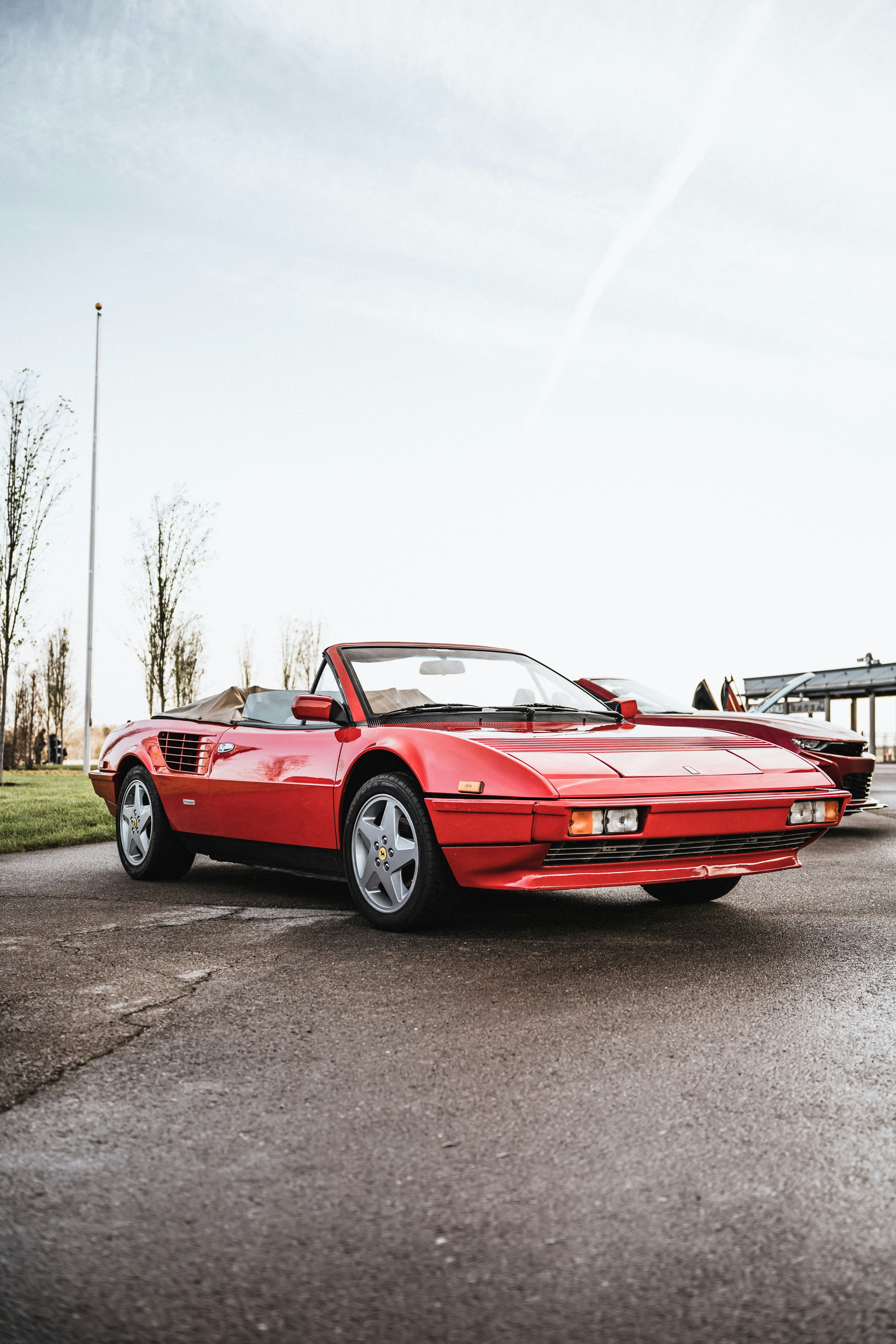 Photo by colemangloverphotography