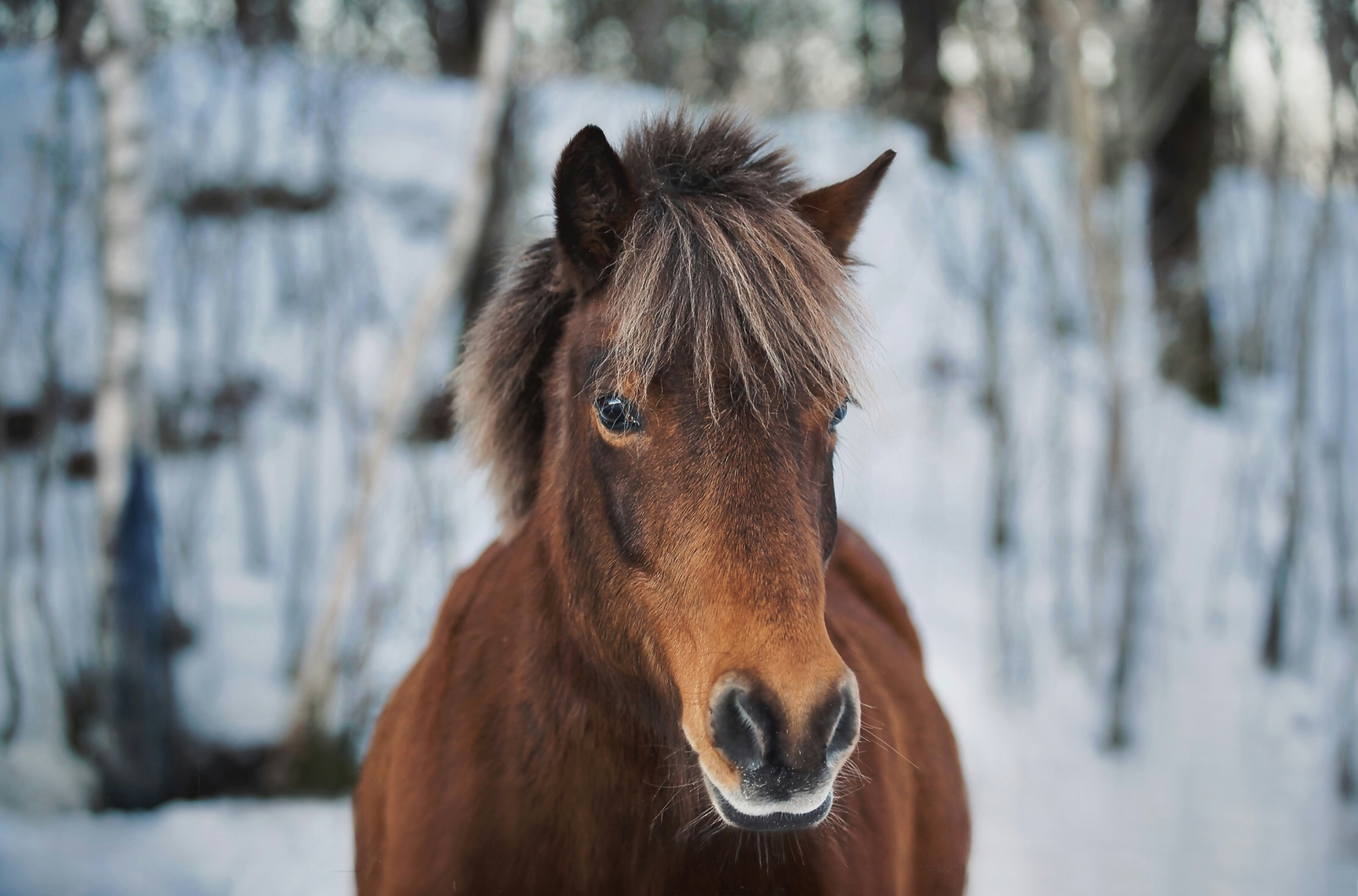 Photo by kristinokarlsen