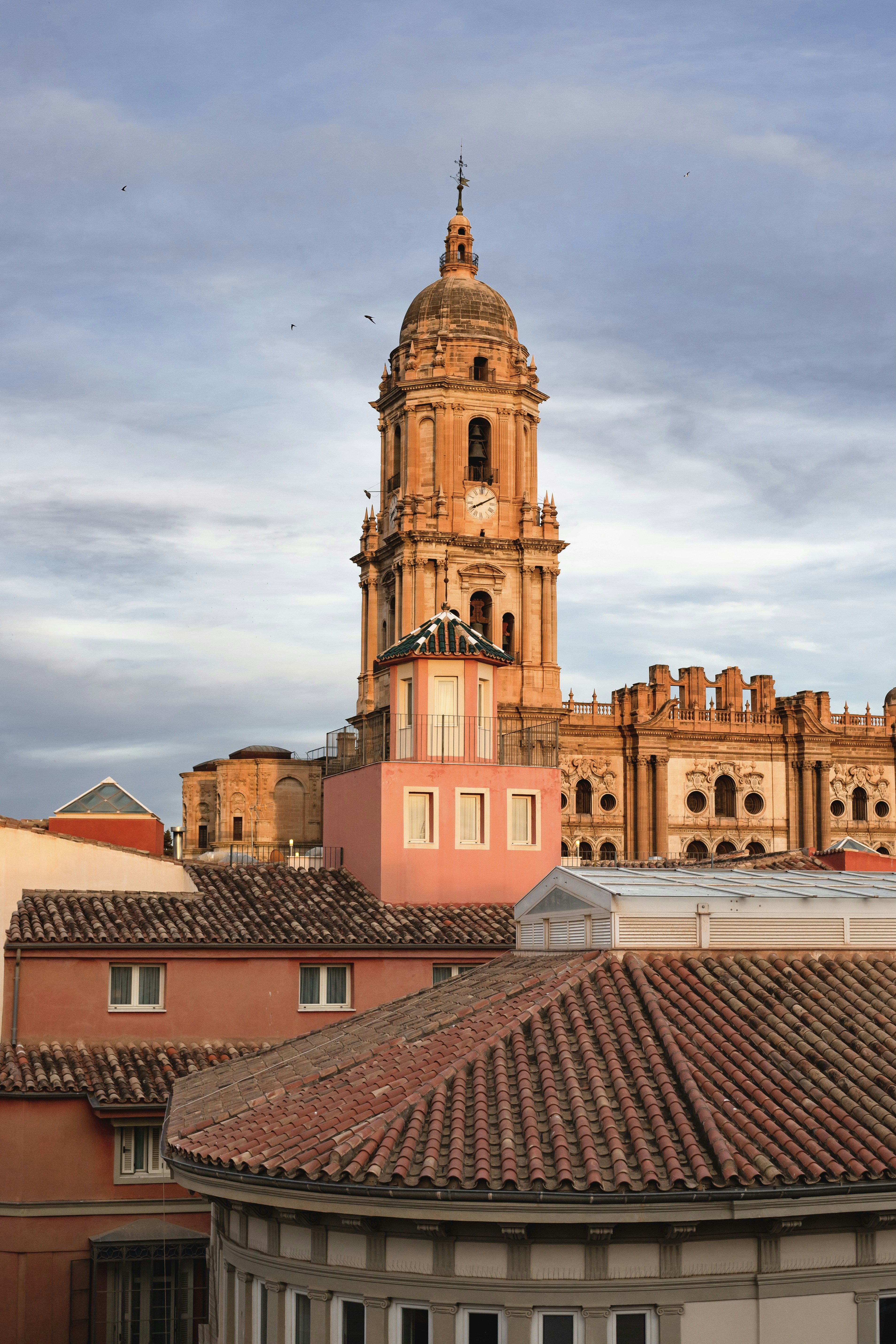 Photo by juliamatuzova