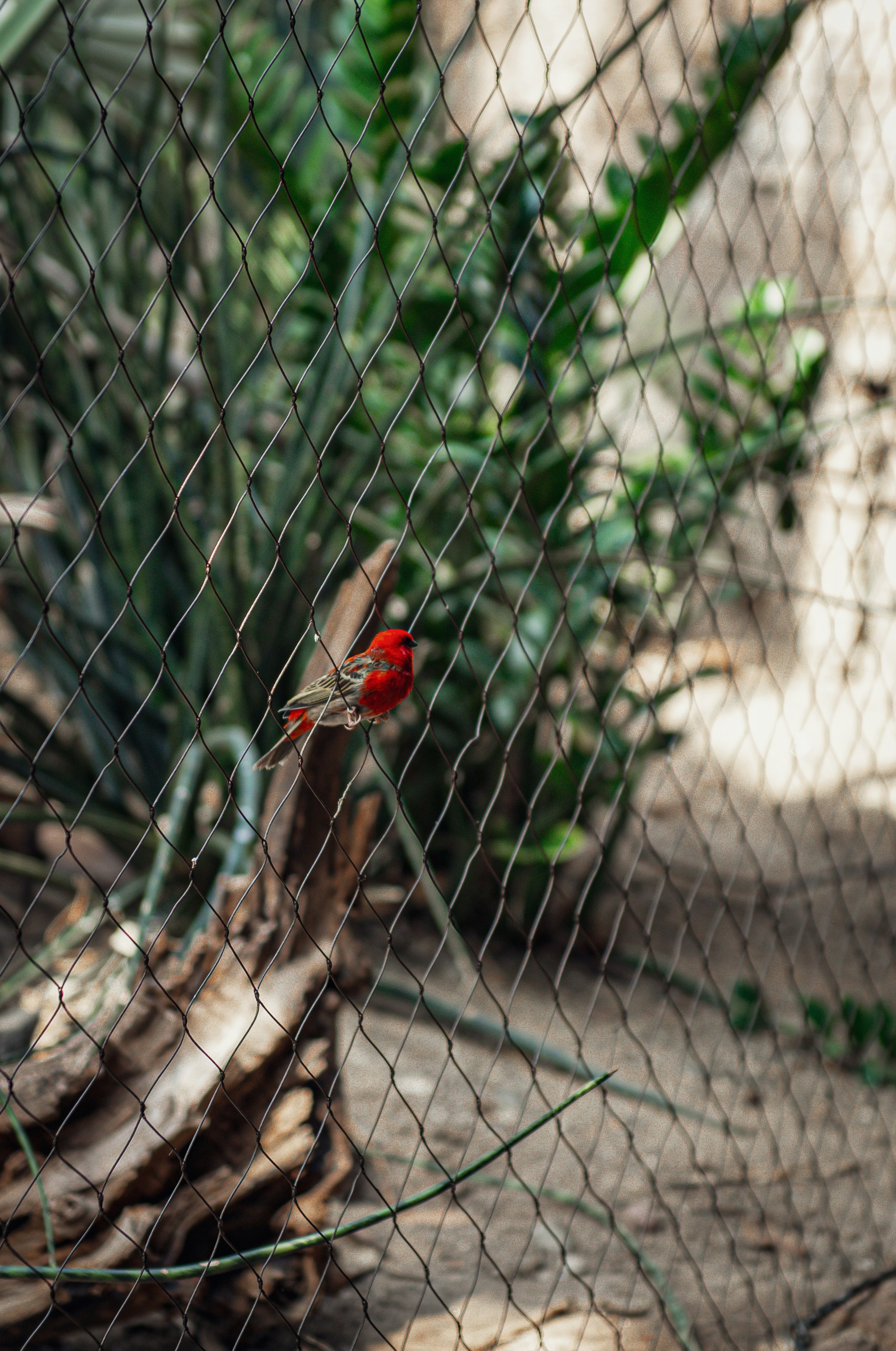 Photo by sadiecoulter