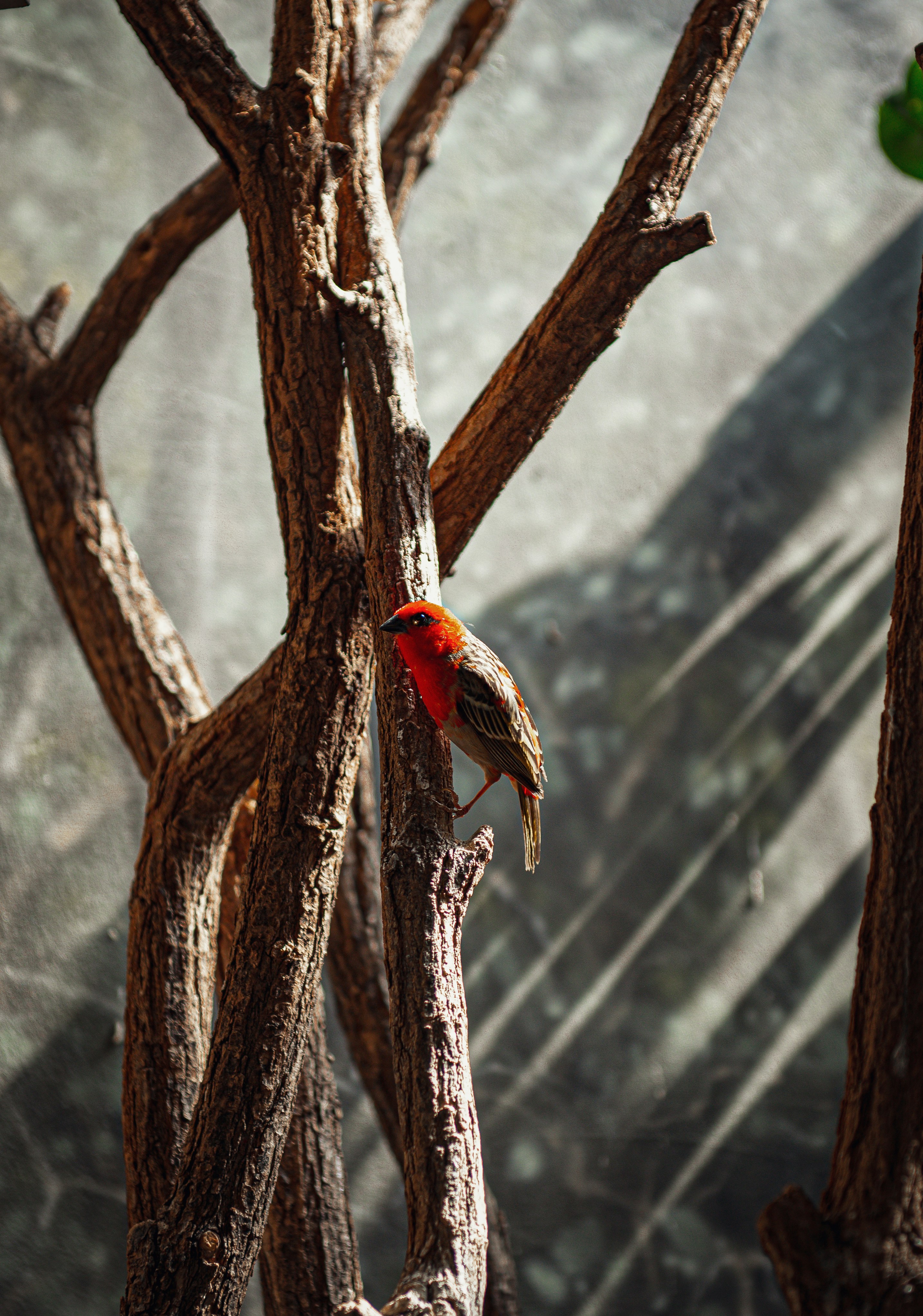 Photo by sadiecoulter