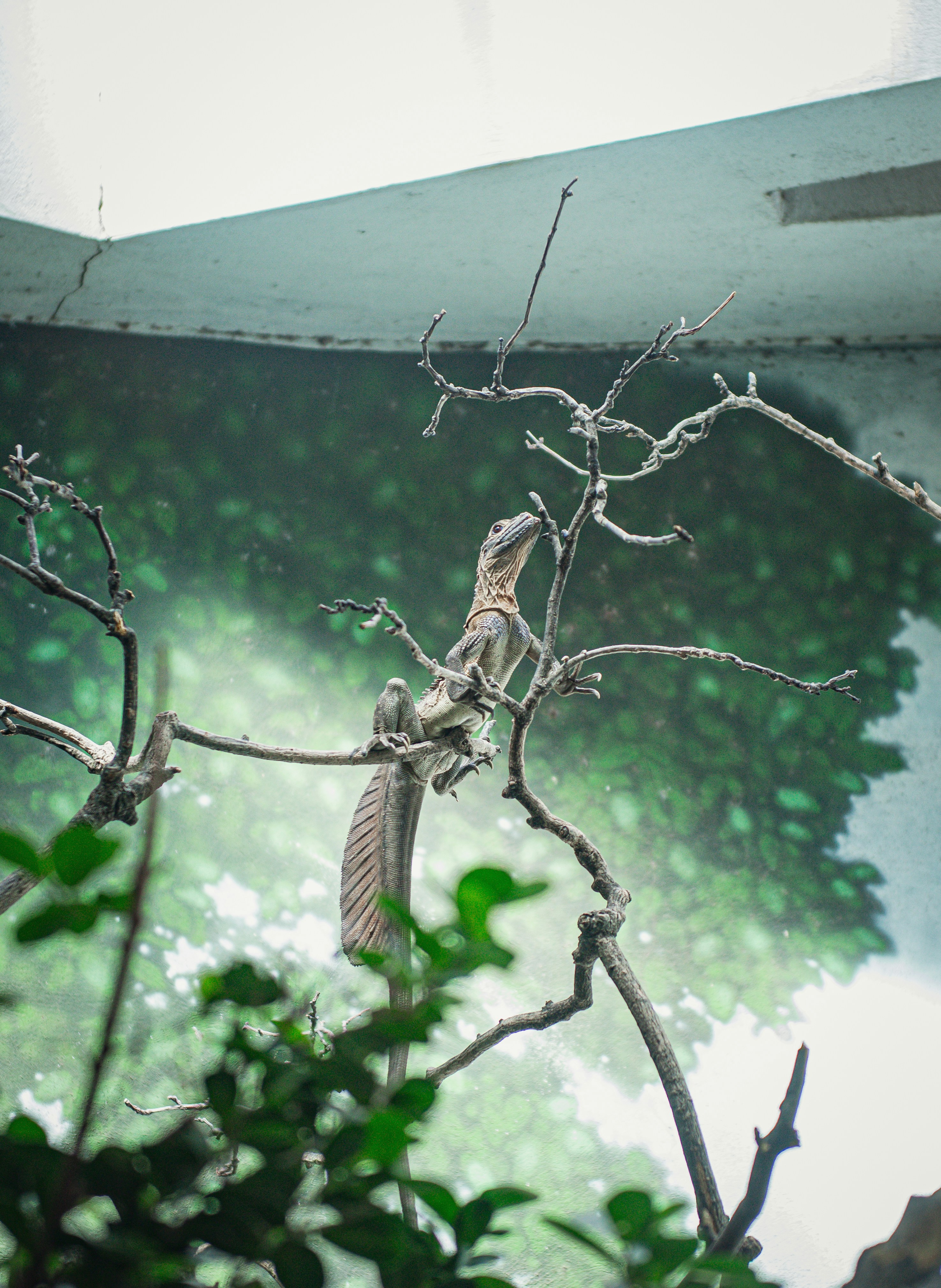 Photo by sadiecoulter