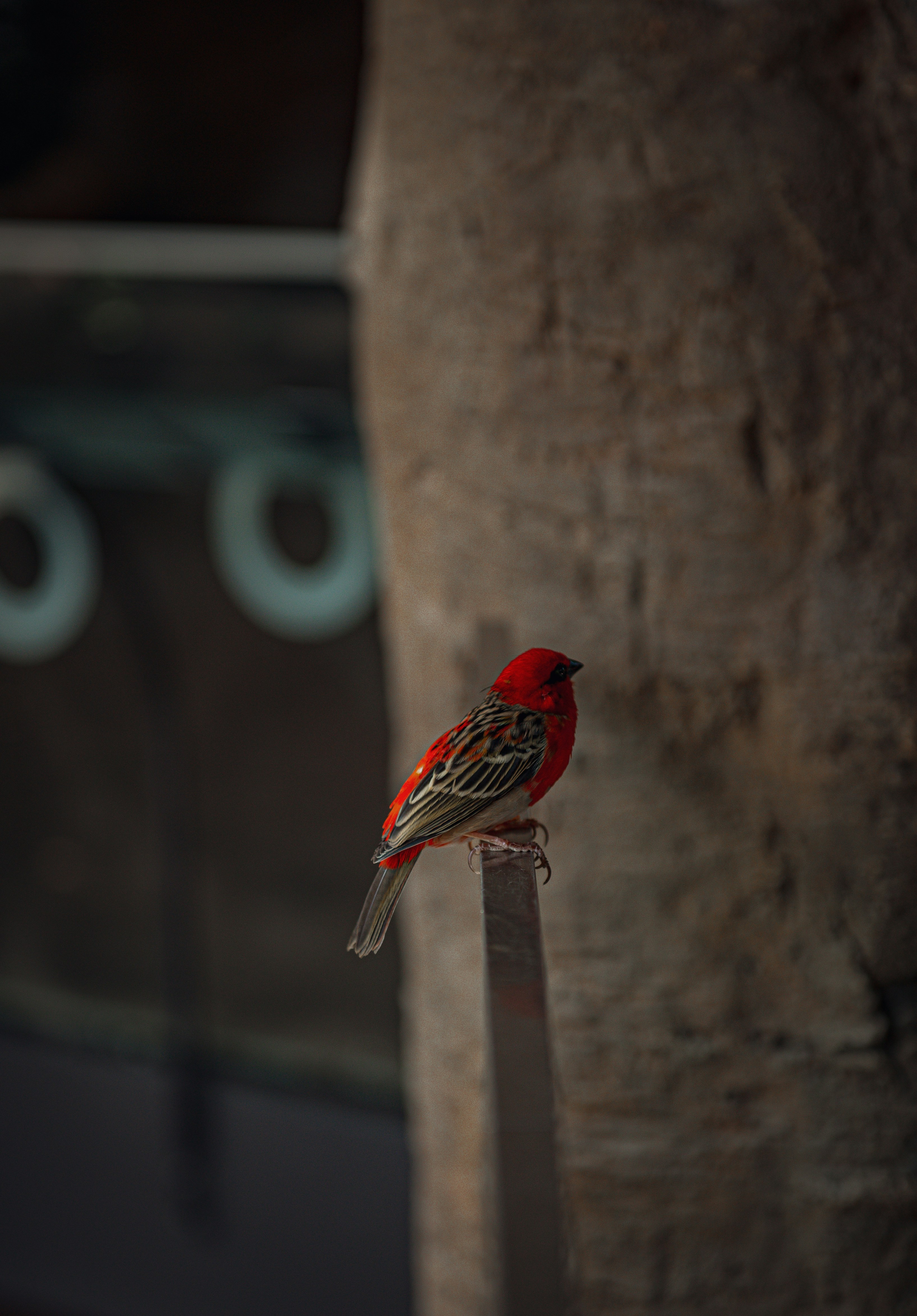 Photo by sadiecoulter