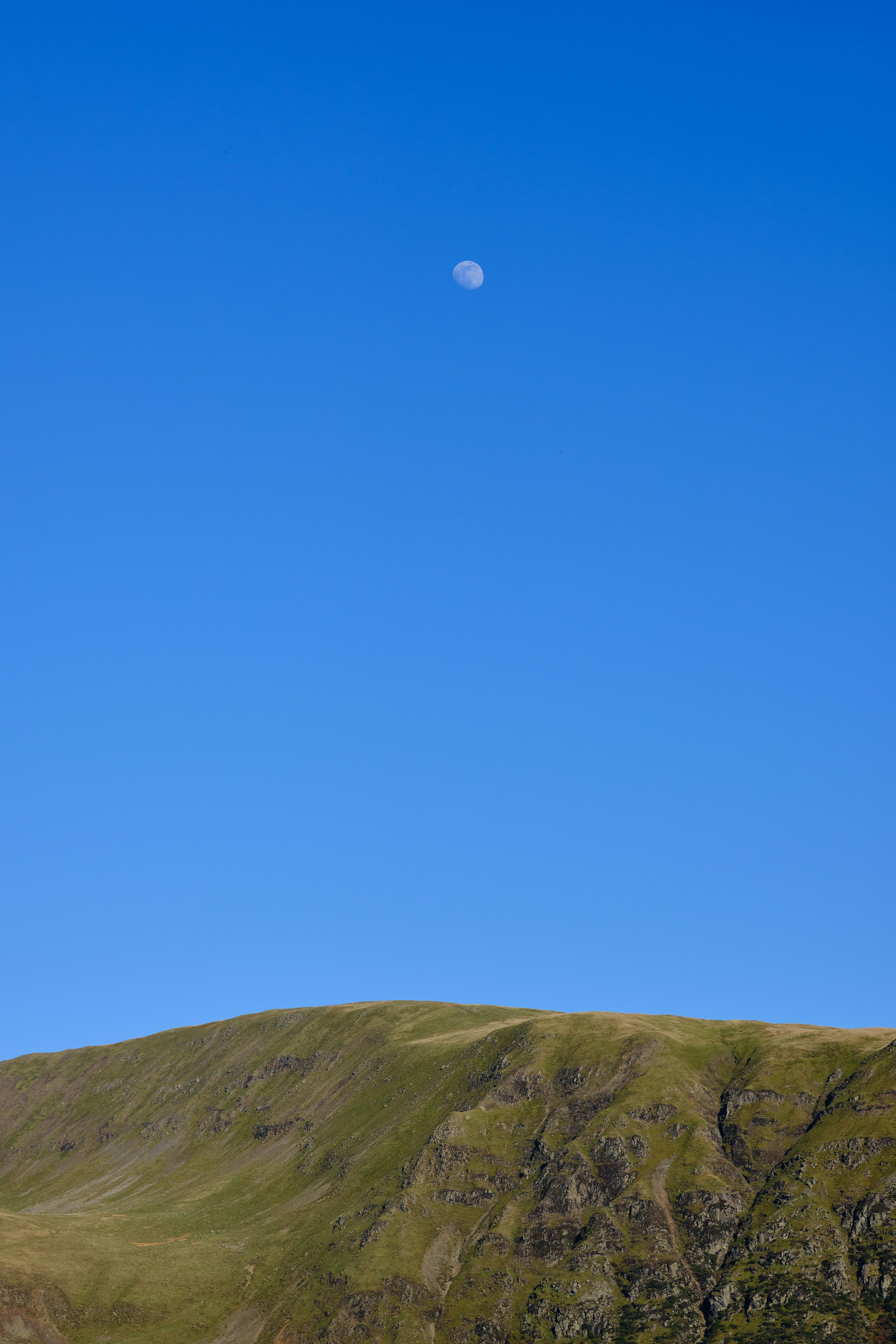 Photo by frostroomhead