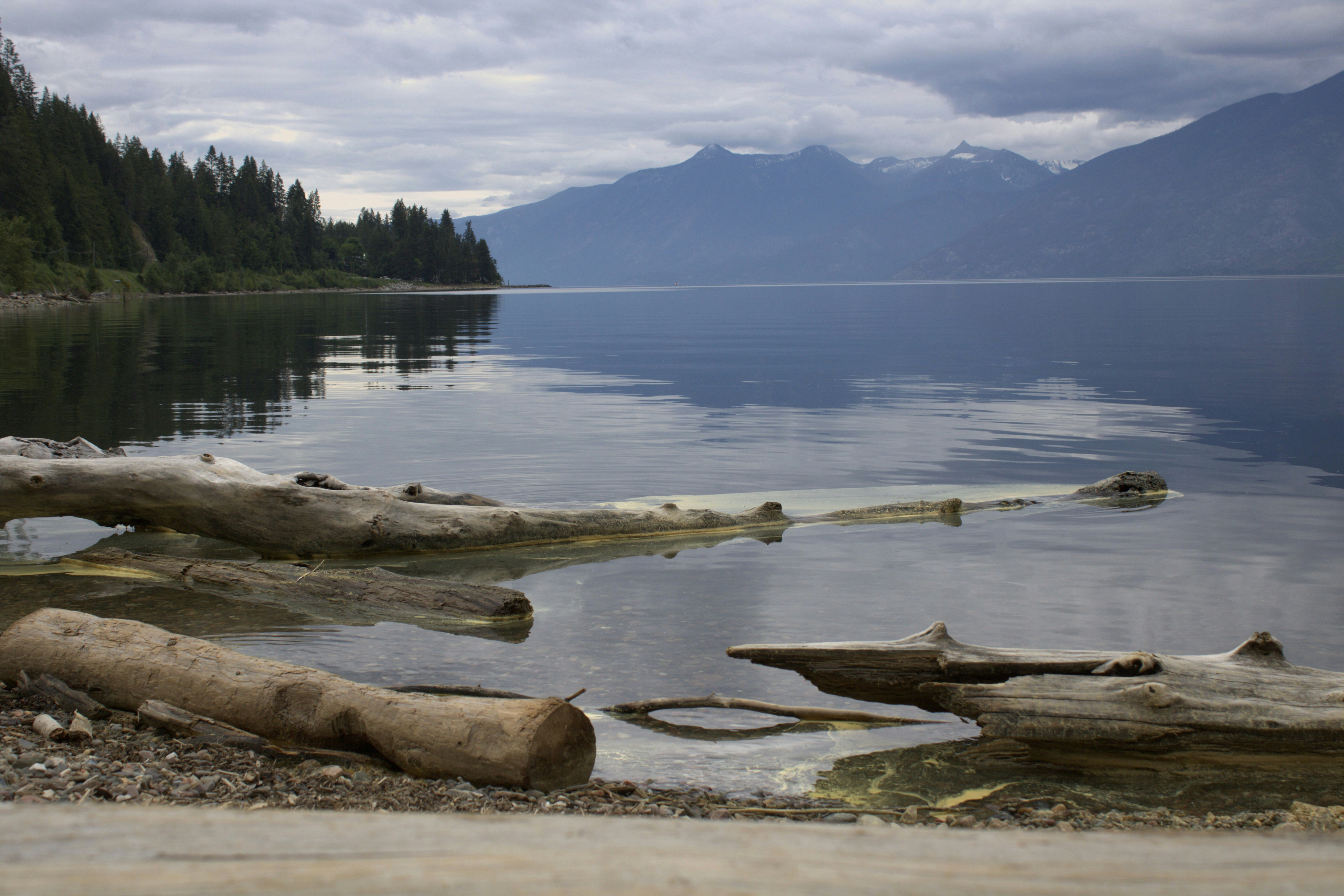 Photo by wanderfoxphotos