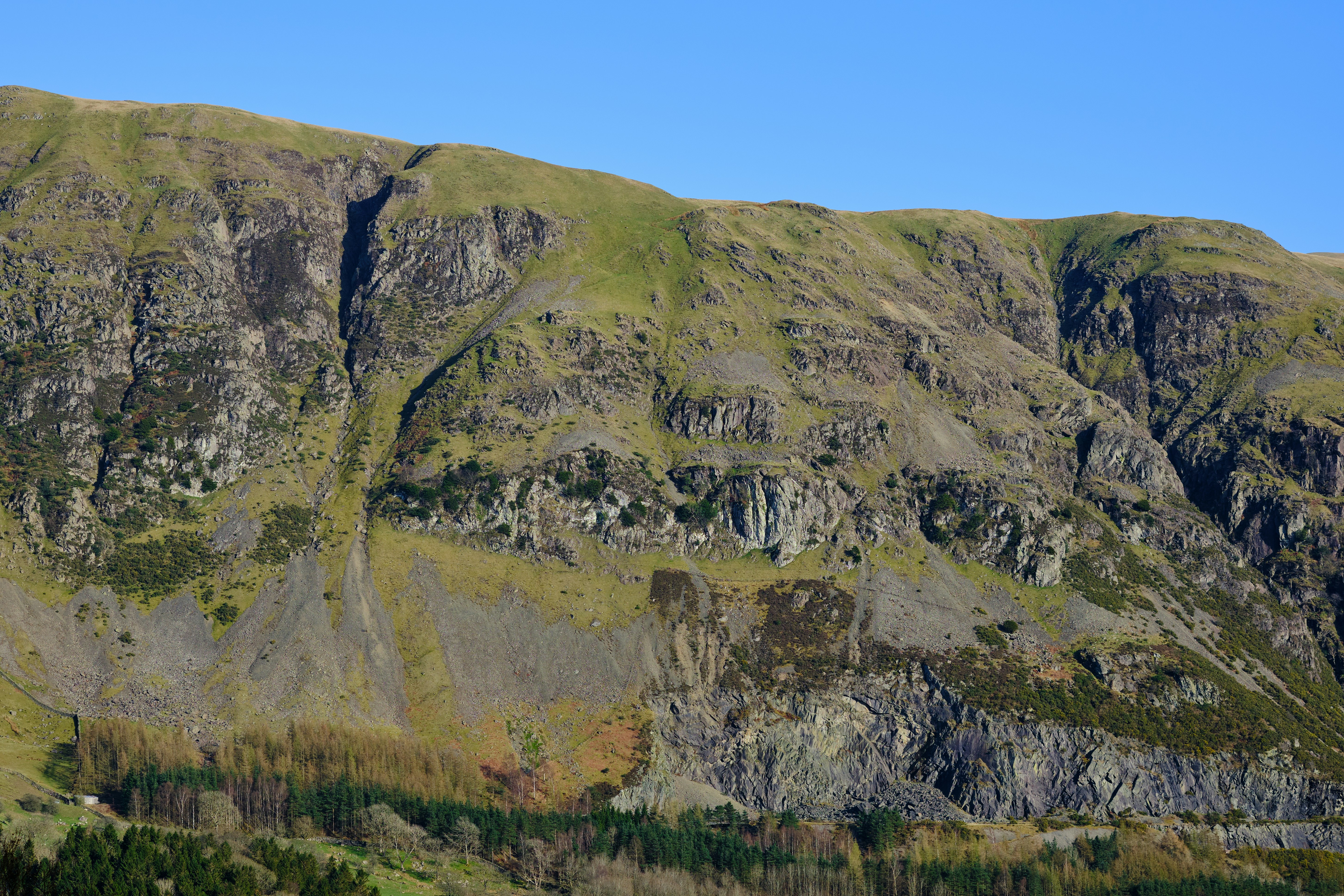 Photo by frostroomhead