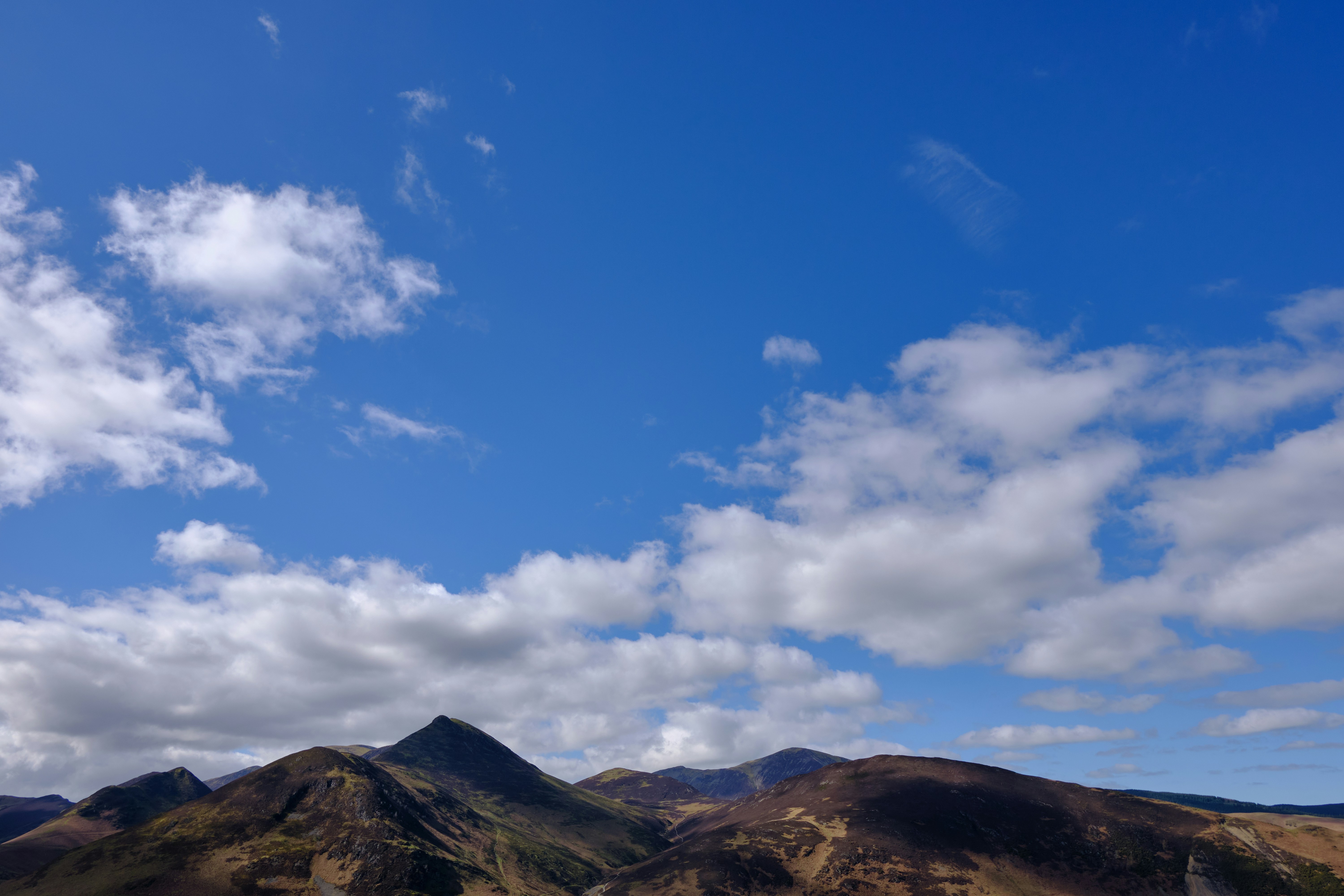 Photo by frostroomhead