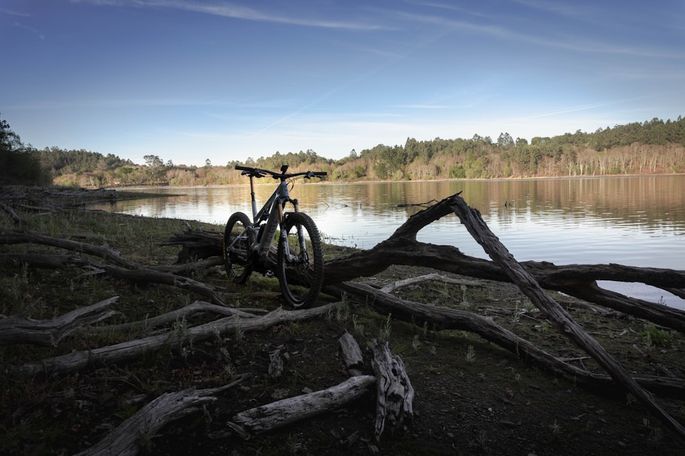 a bike is parked next to a fallen tree