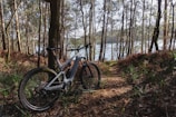 A stunning mountain bike on a scenic trail.