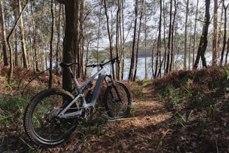A mountain bike is positioned on a forest trail surrounded by tall trees and foliage. In the background, there is a body of water partially visible through the trees. The sunlight creates a natural soft illumination on the path and the bike.