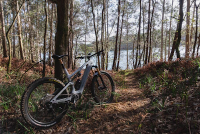 An action shot of a freshly assembled mountain bike ready for its first ride on a forest trail.