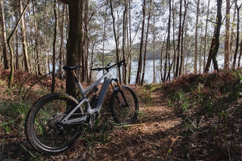 A mountain bike is positioned on a forest trail surrounded by tall trees and foliage. In the background, there is a body of water partially visible through the trees. The sunlight creates a natural soft illumination on the path and the bike.