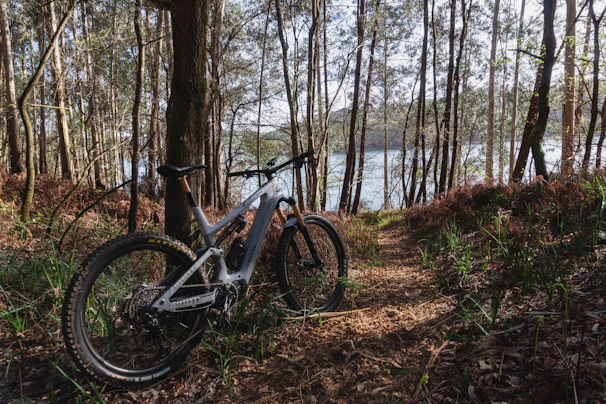 A rugged mountain bike with thick tires resting on a forest trail bathed in morning light