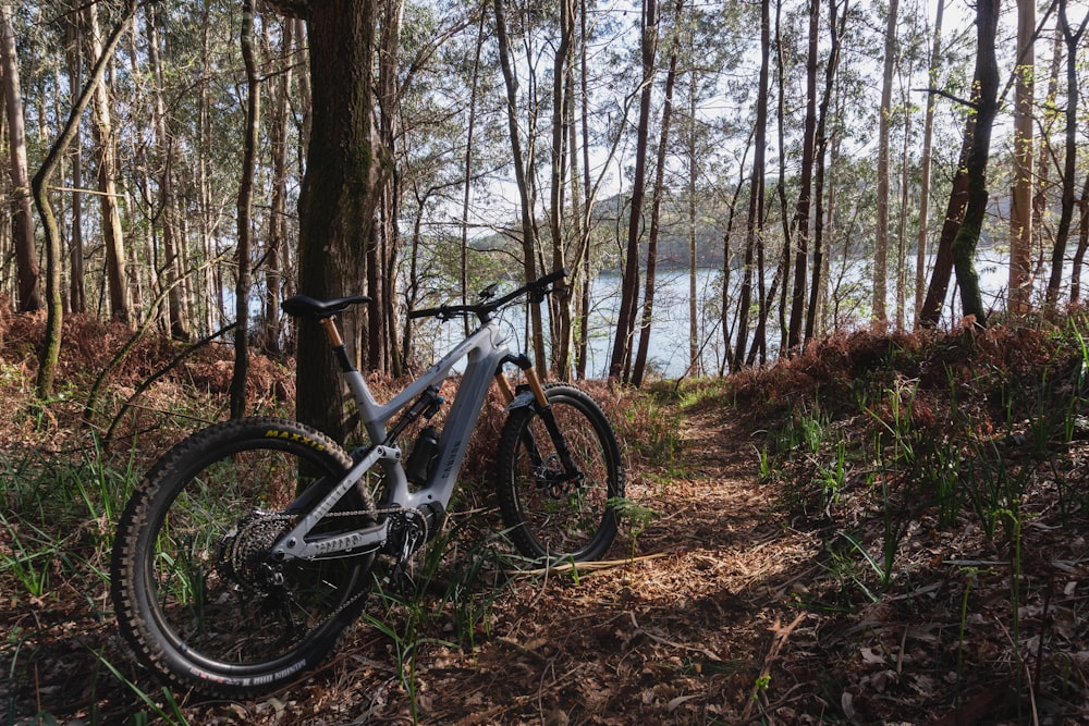 a bicycle parked in the woods next to a lake