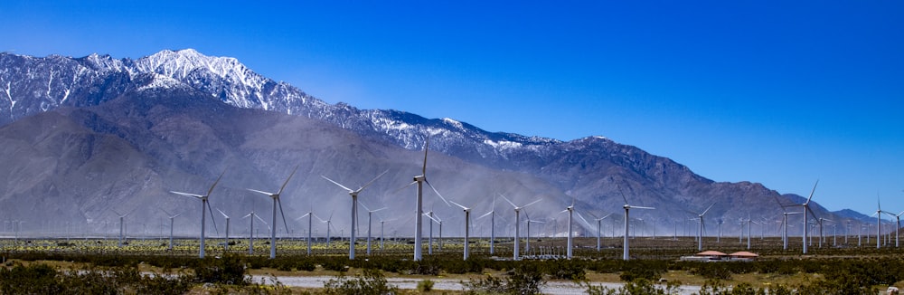 a bunch of windmills in a field with a mountain in the background