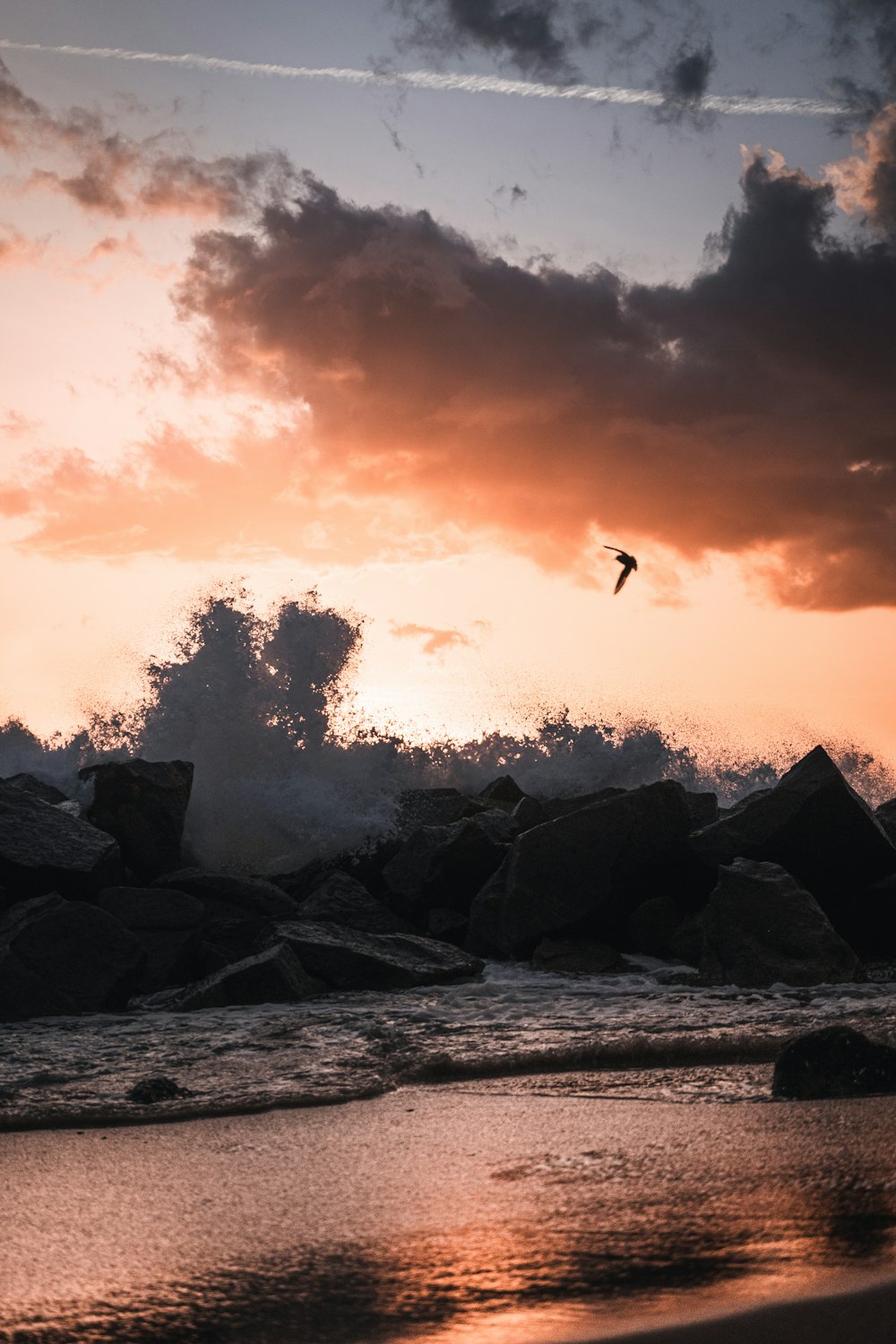 a bird flying over a rocky beach at sunset