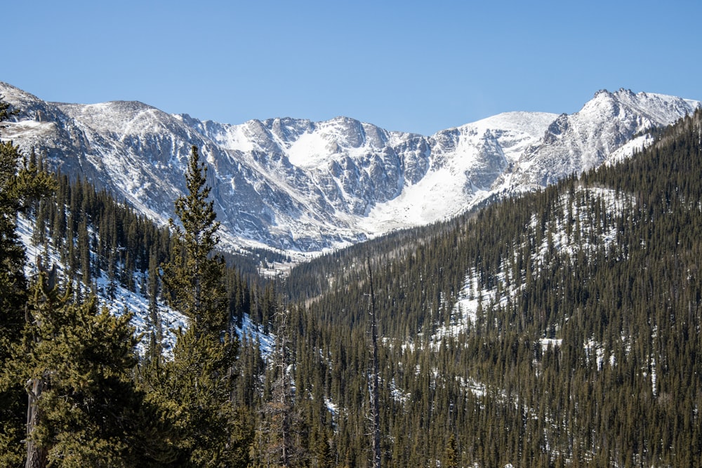 a view of a mountain range with trees in the foreground