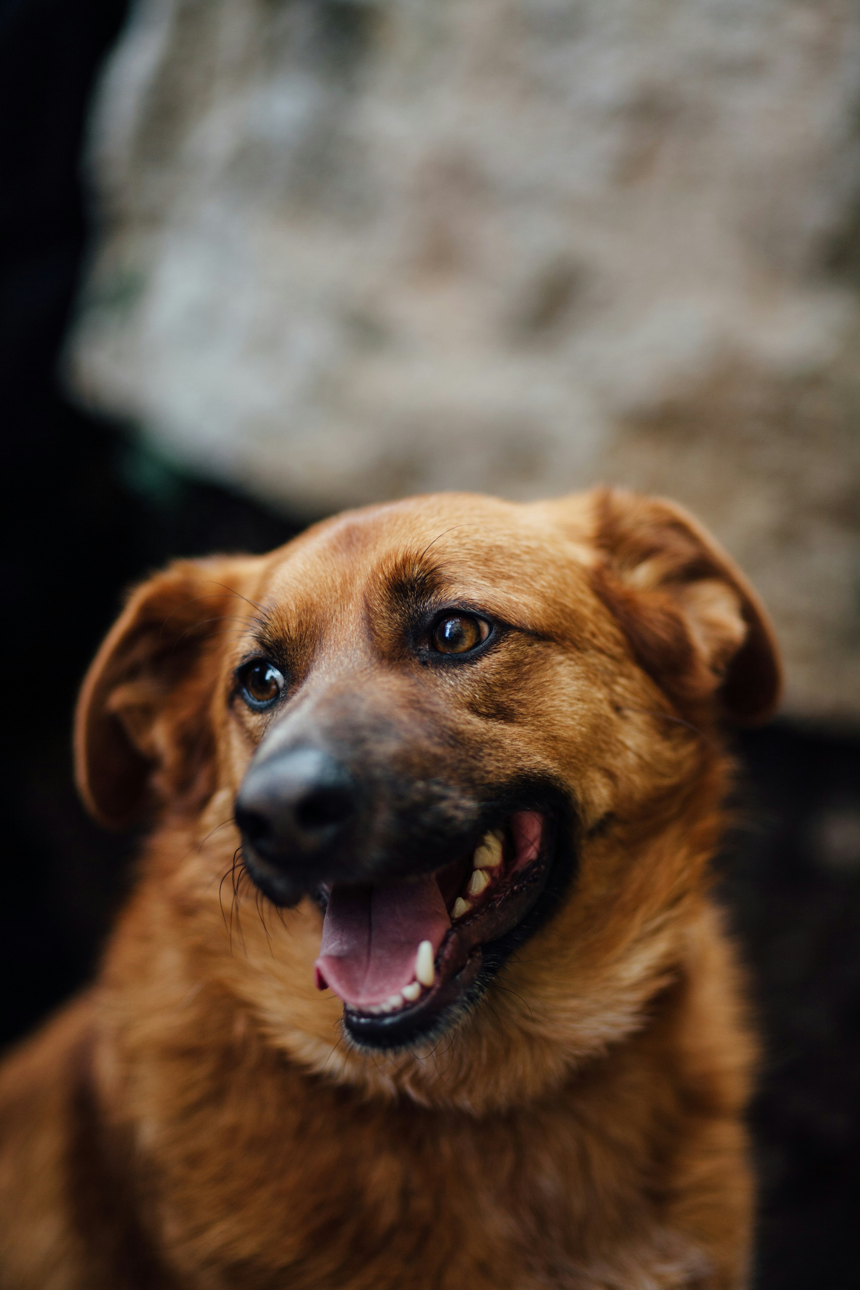 Photo by skatienstuksuma