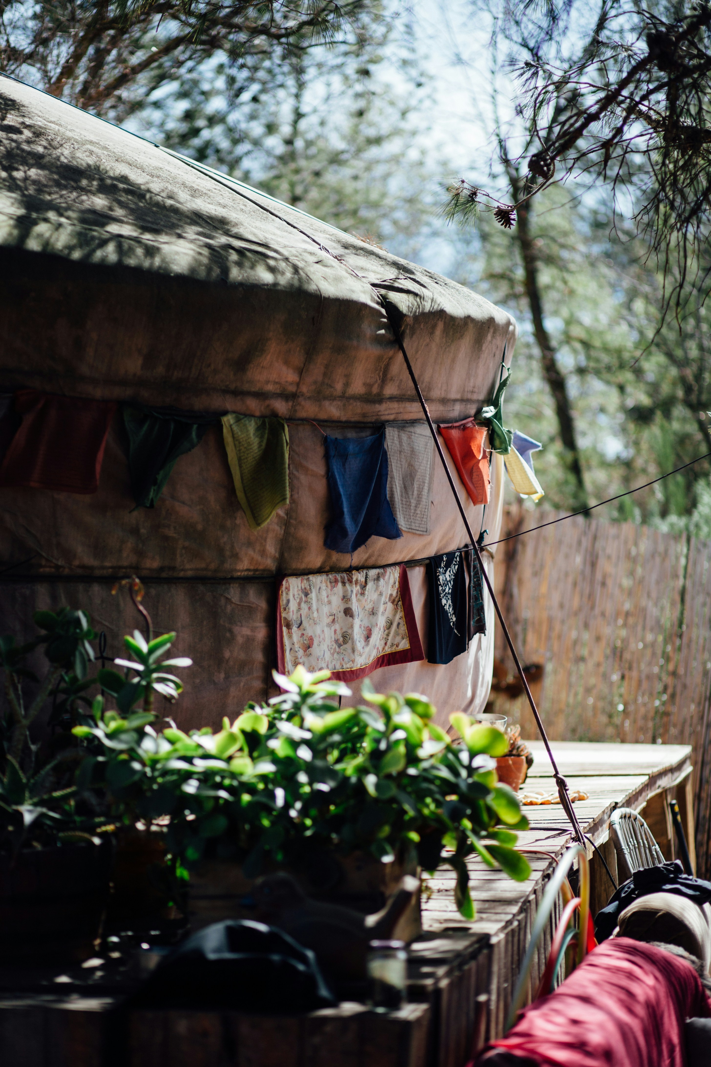 Book Your Healing Session