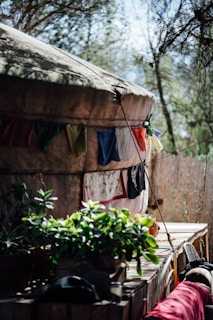 A rustic yurt with soft glowing lights inside, surrounded by forest greenery.
