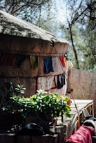 A yurt surrounded by trees, with colorful fabric flags hanging along its side. Next to it, a wooden deck holds a variety of potted plants. The area is in sunlight, casting shadows and creating a rustic, natural atmosphere.