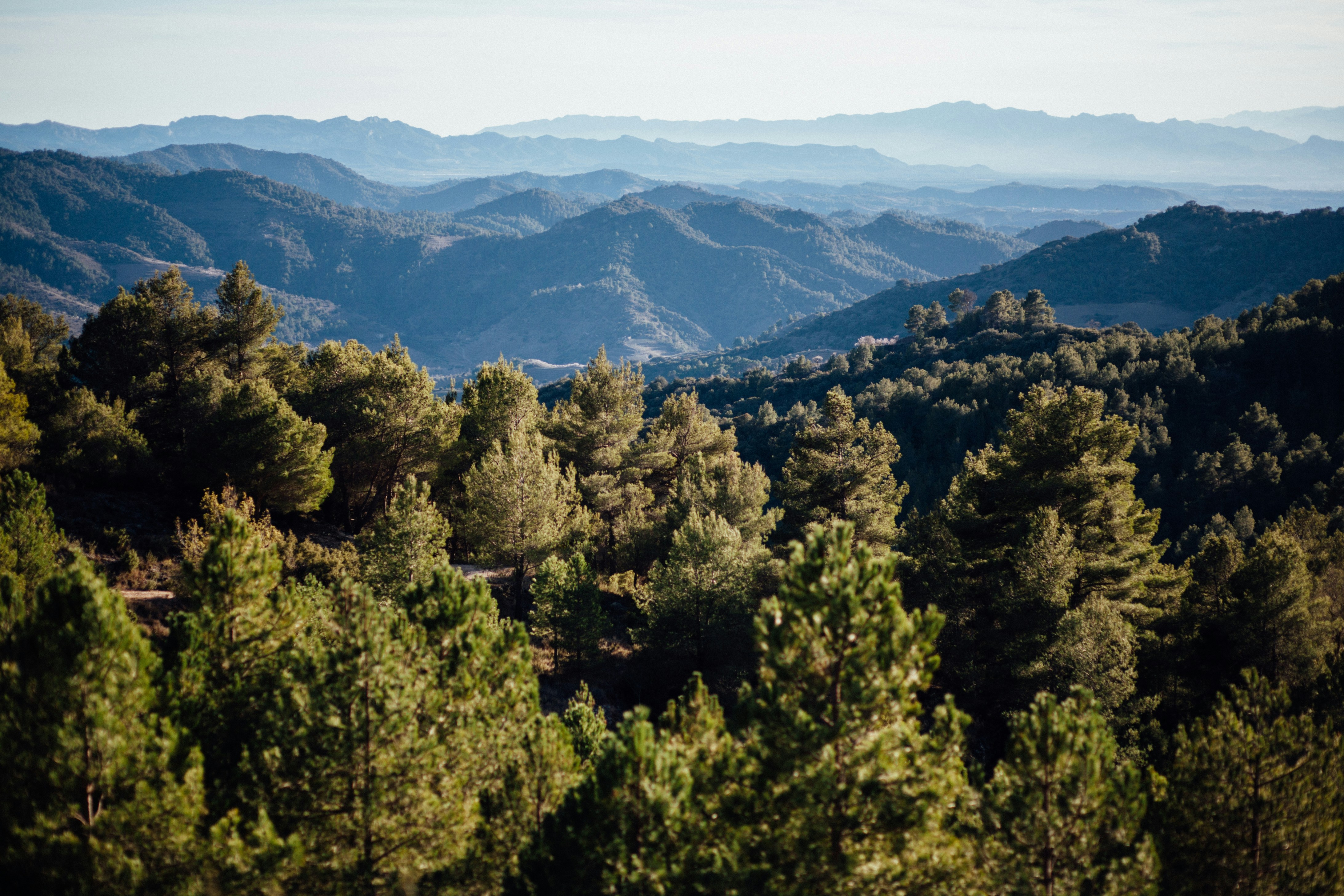 Photo by skatienstuksuma