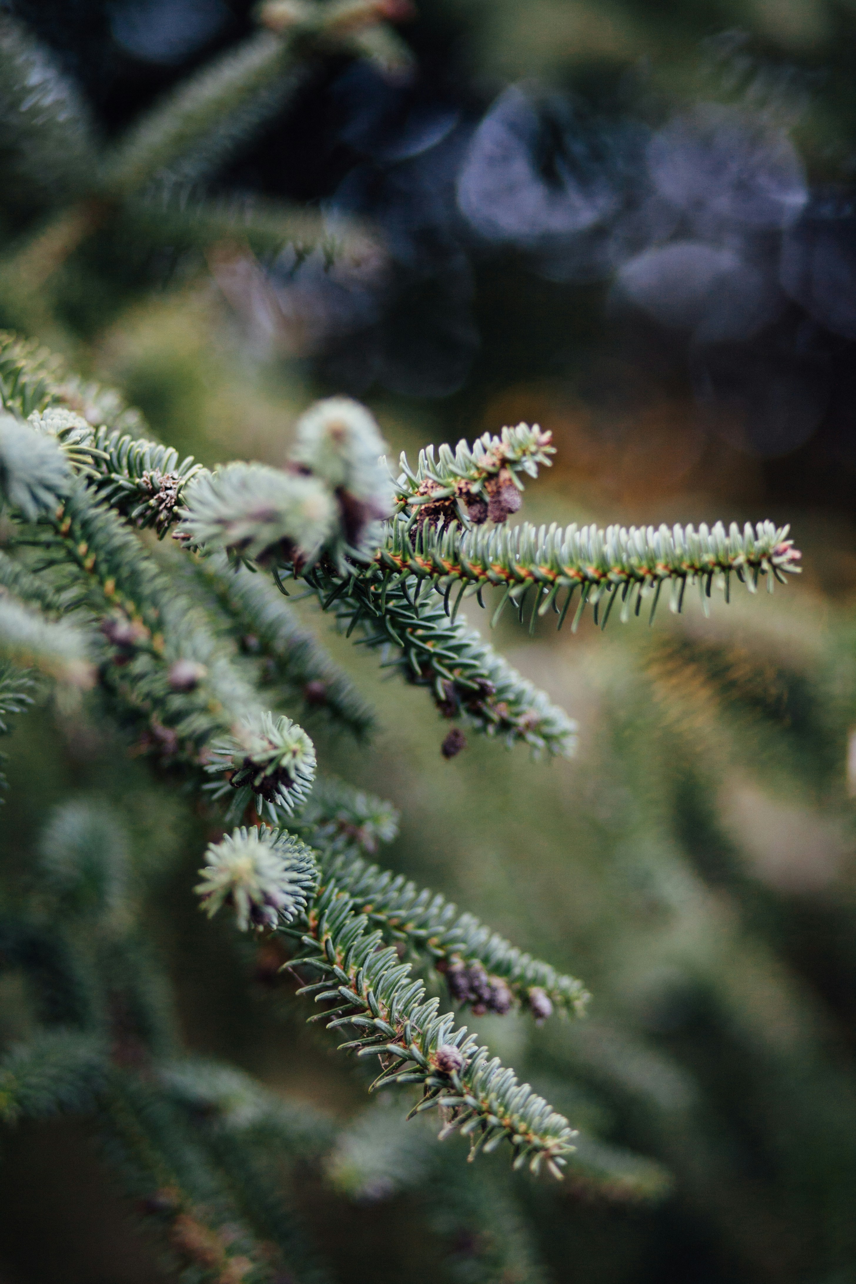 Photo by skatienstuksuma